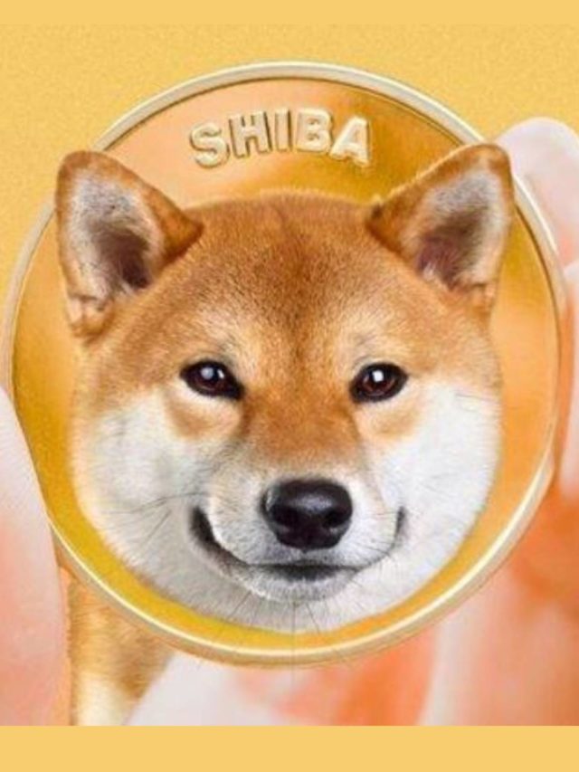 Shiba inu coin price prdiction 2022