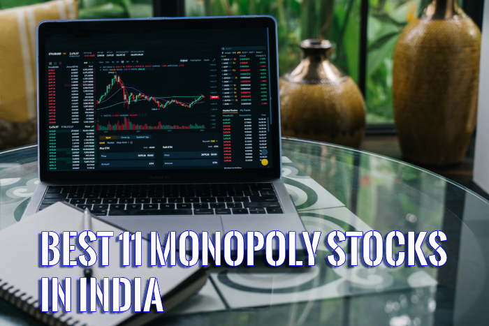 Best 11 Monopoly Stocks in India