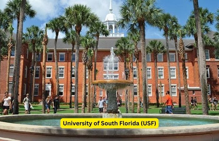 University of South Florida (USF)